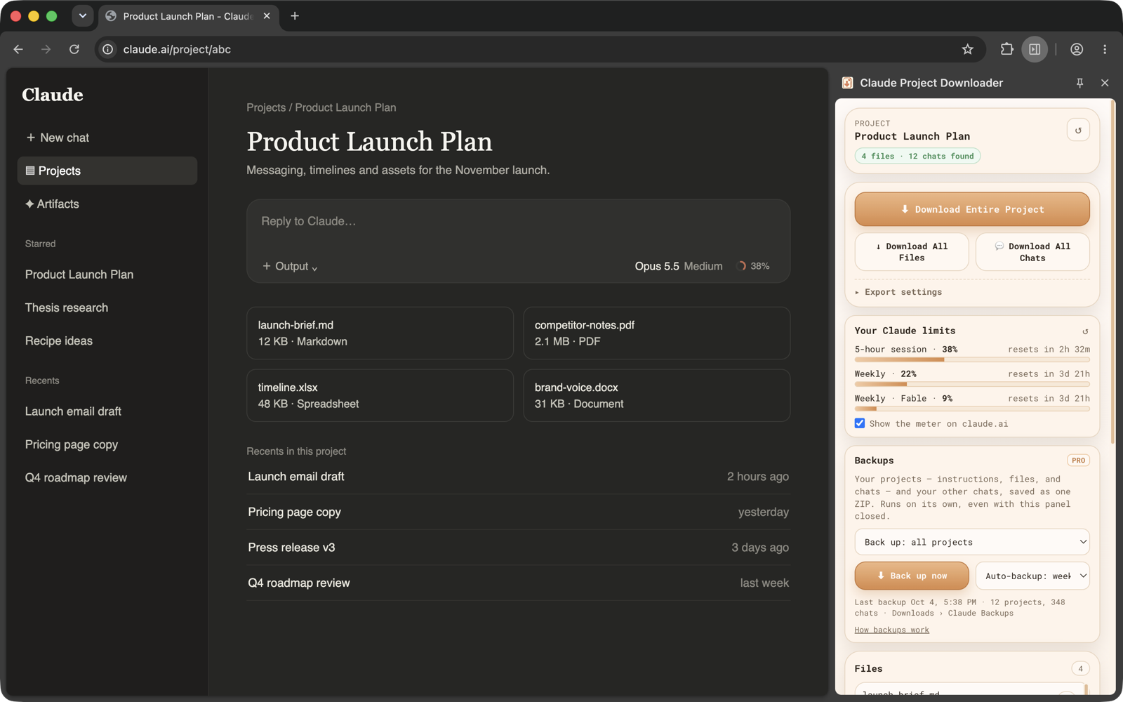 Claude Project Downloader's side panel next to a Claude project, with Download Entire Project, usage limits and backups